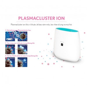 Máy lọc không khí có giúp loại bỏ được virus corona không?